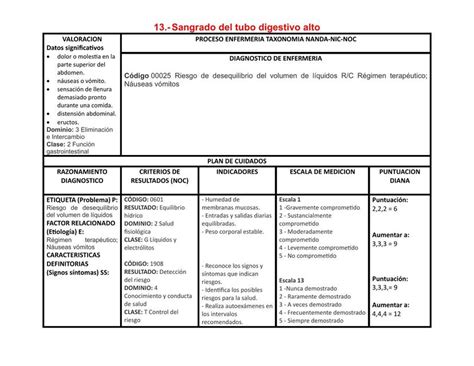 PLAN DE CUIDADOS ADULTO ENFERMO ULCERA PEPTICA Alexia Flores UDocz