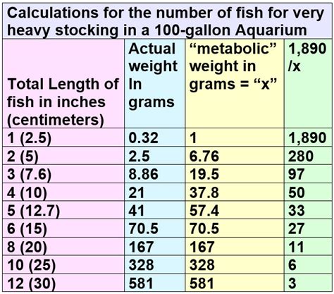 13 2 Calculating Stocking Ratio Aquarium Science