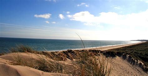 Wexford Beach, Beaches in Wexford, Beaches In Wexford Area | Beautiful beaches, Picturesque, Wexford