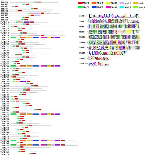 Frontiers Identification Of AP2 ERF Transcription Factors In