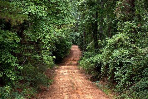 A Lovely Country Road Deep In The East Texas Woods Texas Scenery