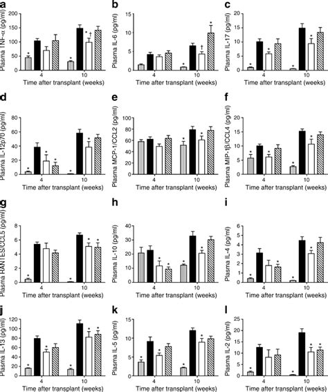 A L Plasma Cytokine Concentrations At 4 And 10 Weeks Download Scientific Diagram