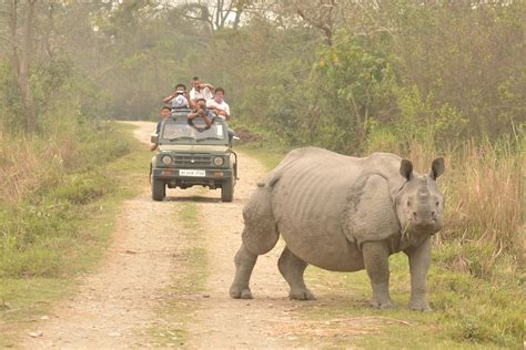 Kaziranga National Park & Tiger Reserve Assam | Bon Travel India