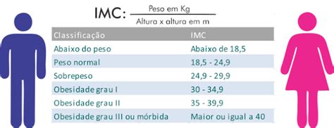 Obesidade Na Mídia O Que é Imc Índice De Massa Corporal