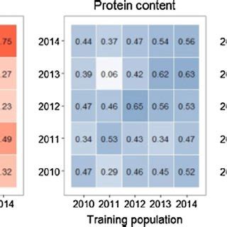 Heatmap Of The Pair Wise Prediction Accuracy Between Breeding Cycles On