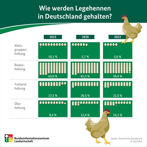 Infografik Legehennenhaltung In Deutschland DGS MAGAZIN