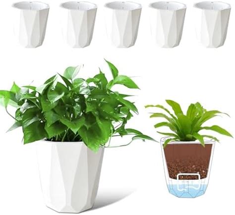 Amazon T4U 6 Inch Self Watering Planters Plastic Plant Pot