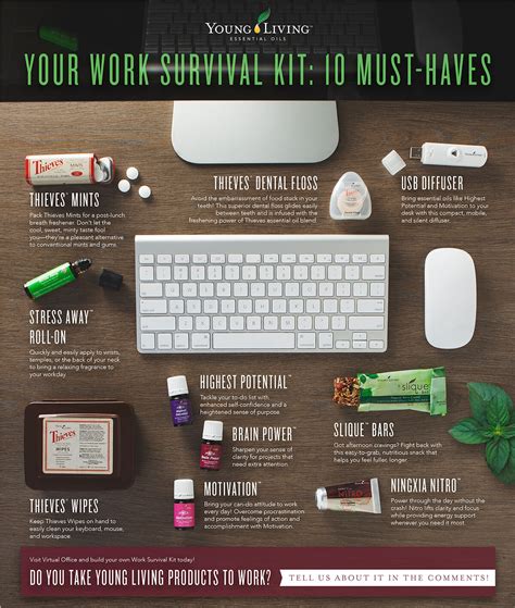 Work Survival Kit Harmony And Vitality