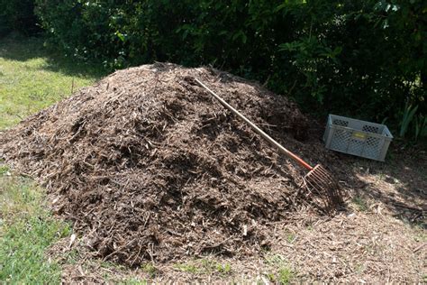 Le Broyat De Bois Au Jardin Le Jardin Qui Se Mange