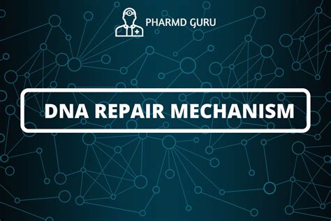 32 Dna Repair Mechanism Pharmd Guru