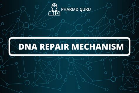 32. DNA REPAIR MECHANISM - PHARMD GURU