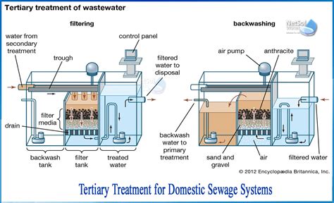 What Is The Tertiary Treatment Of Domestic Sewage Systems