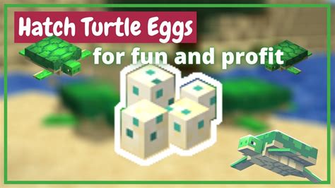 How To Hatch Turtle Eggs In Minecraft Java Bedrock Pe Youtube