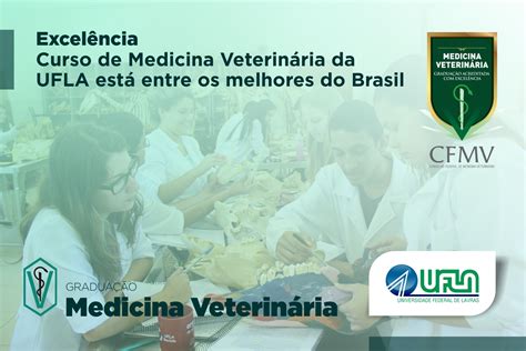 Acredita O Cfmv Curso De Medicina Veterin Ria Da Ufla Considerado