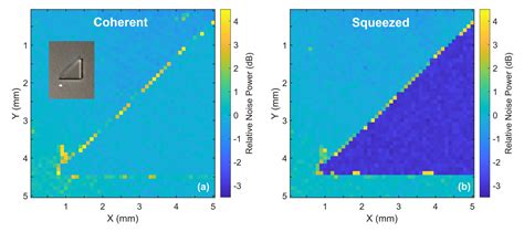 Quantum light source advances bioimaging clarity - AgriLife Today