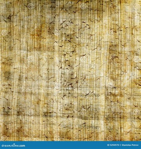 Old Papyrus Texture Stock Photo Image Of Grungy Colored 5294970