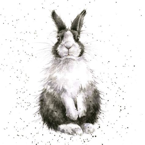 🎨 Wrendale Designs By Hannah Dale Wrendale Designs Bunny Painting