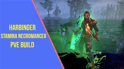 Powerful Stamina Necromancer DPS PVE Build ESO ArzyeLBuilds