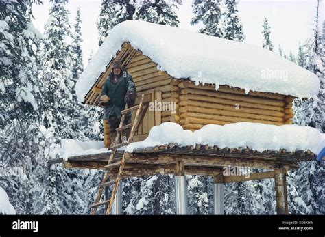 Stuart Macalister Trapper Yukon Stock Photo Royalty Free Image