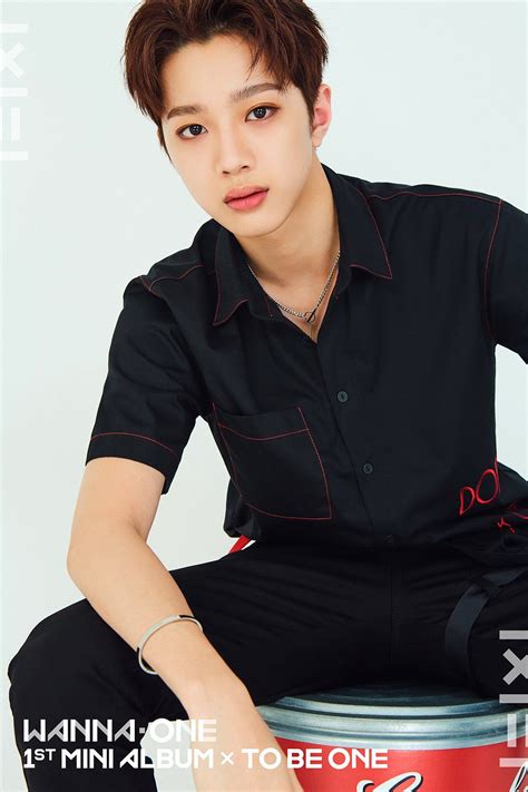 Lai Guan Lin Wanna Oneㅣ1st Mini Album Photo 5 라이관린 워너원의 데뷔 앨범 1X1 1 TO