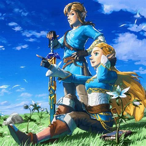 Download Zelda Link Video Game The Legend Of Zelda Breath Of The Wild Pfp