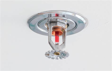 Protecting Fire Sprinkler Systems - Pest Control Technology