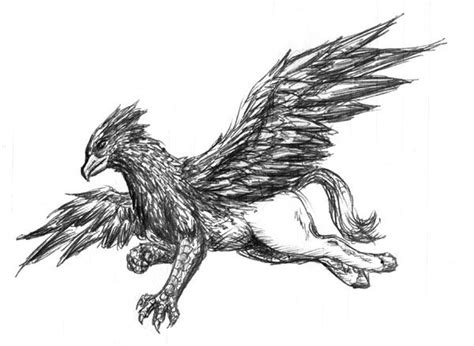 Hippogriff by Ciarra | Harry potter tattoo small, Chest tattoo, Picture tattoos