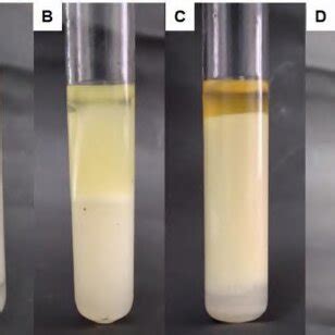 Comparison of the surfactant properties of the biosurfactant produced... | Download Scientific ...