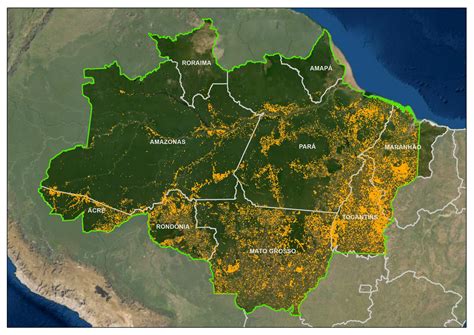 Área da Amazônia Legal atingida pelo fogo em 2022 equivale a quase 2