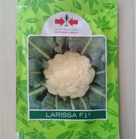 Jual Benih Bunga Kol Larissa F Gram Biji Kembang Kol Putih Hibrida