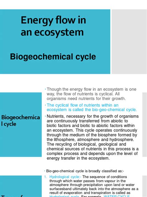 Bio Geo Chemical Cycle Pdf Carbon Cycle Ecosystem