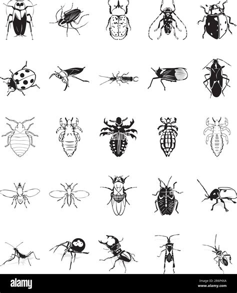 Twenty Smooth Vector Clipart Illustration Of Various Insects Stock