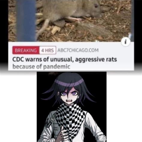 Kokichi Ouma The Rat Danganronpa Danganronpa Memes Antagonist