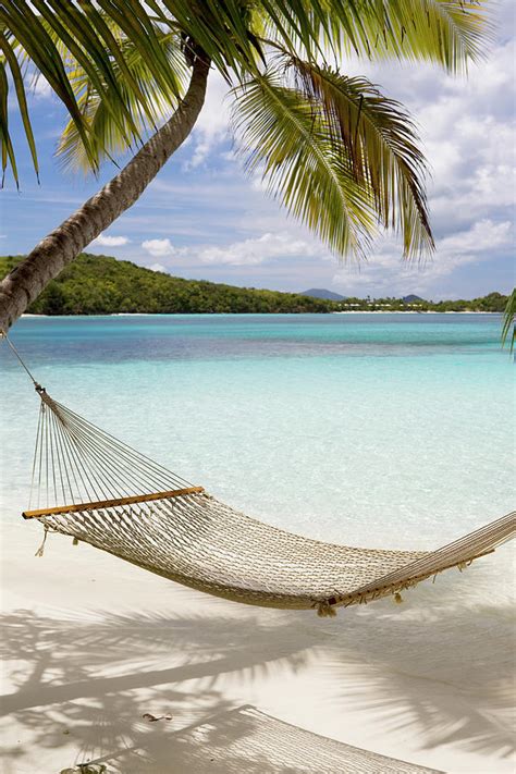 Beach Hammock On Palm Trees