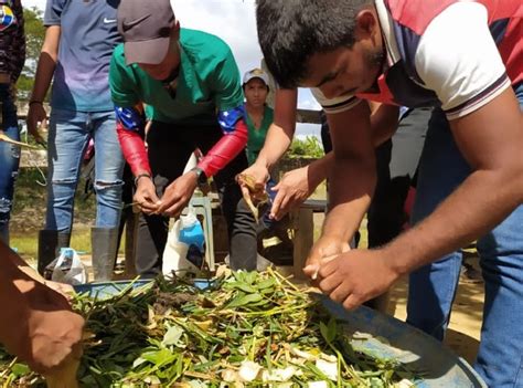 Estudiantes De La Unellez Vpdr Realizaron Pr Cticas De Alimentaci N De