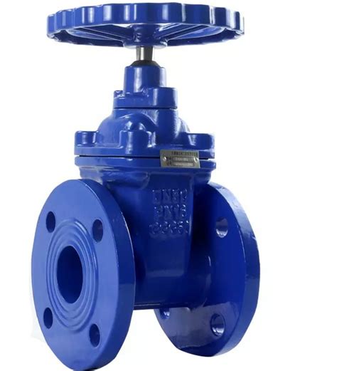 Dn Water Rubber Soft Seal Ductile Iron Flanged Ends Gate Valve