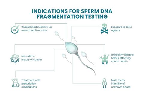 Sperm Dna Fragmentation Test First Genomix