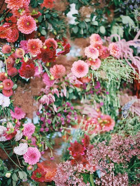 Many Different Types Of Flowers Growing On The Side Of A Building