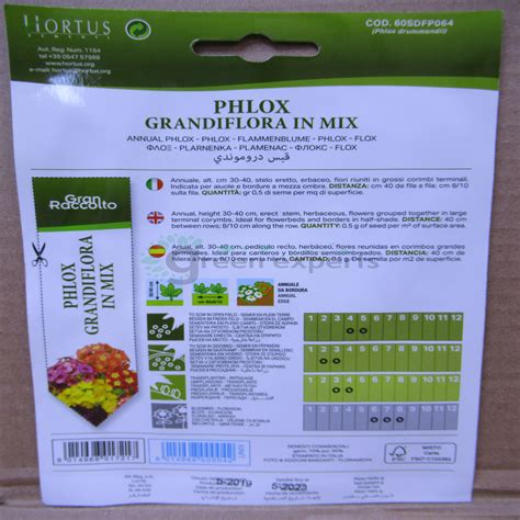 Annual Phlox Seeds - Green Experts Landscape LLC