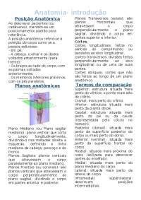 Resumo Sistema Articular Anatomia Humana Resumos Anatomia Docsity