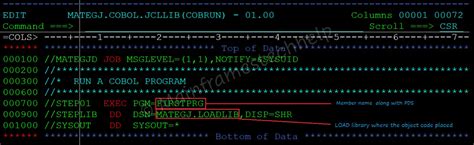 Cobol Hello World Program