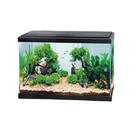 Aqueon Standard Glass Aquarium Tank 40 Gallon Breeder Petco 40 Gallon