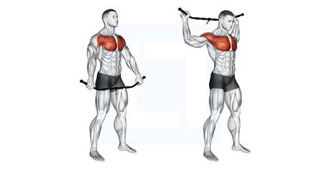 Chest and Front of Shoulder Stretch - Guide, Benefits, and Form