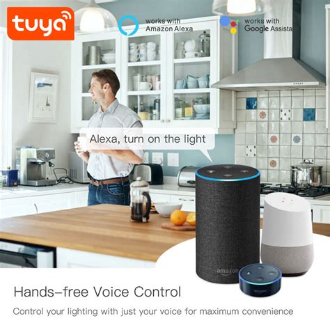 Tuya Mini Two Channel Wi Fi Smart Lighting Controller