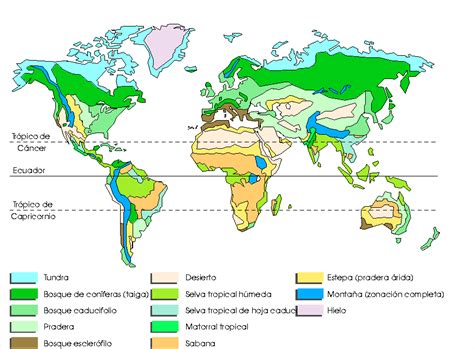 Los Biomas Terrestres Ubicación De Los Biomas Terrestres