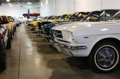 You Gotta See This Mustang Collection