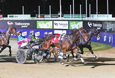 Ouyen Cup Cups Chase Into Perspective Harness Racing Victoria