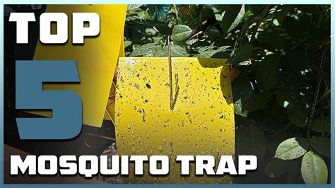 Top 5 Best Mosquito Traps In 2024 Reviews Prices And Where To Buy