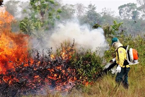 Serra Das Confus Es Fogo Atinge Reas De Caatinga Do Parque Nacional