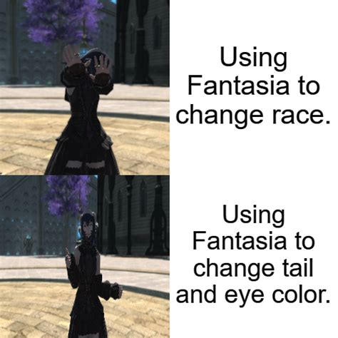 Fantasia mood. : r/ffxiv